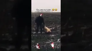 типичный дед мороз кагда идёт без сеней на северный полюс😂😂