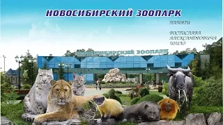 Новосибирский зоопарк. Памяти Р.А.Шило