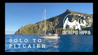 Sailing Solo to Pitcairn: Intrepid Hippo