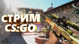 💥Начинающий стример💢 СТРИМ CS:GO💢Вебка💥 Напарники и ММ 💥Общение с чатом!!💥