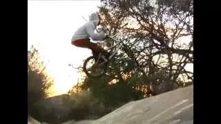 CULTCREW/ TALK IS CHEAP HOMIES