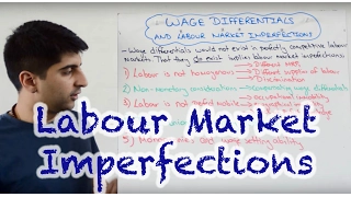 Wage Differentials and Labour Market Imperfections