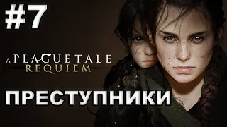 A Plague Tale: Requiem ► #7 ПРЕСТУПНИКИ