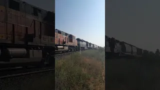 NS GP38-2 High Hood on a Mixed Freight