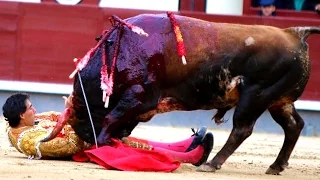 Funny VIdeos 2016, Bull Fighting | EveryPranks