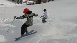 Teaching Skills for All Mountain Skiing