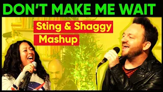 Don't make me wait / So lonely  (Sting & Shaggy Mashup) - Sistahfunk Feat. Lorenzo Meazzini