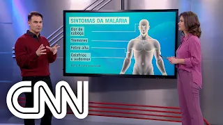 Quais são os sintomas da malária e como tratar? - Correspondente Médico