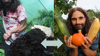 How to make compost effective and quick with proof it works!