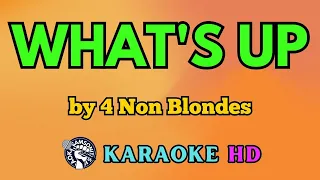 What's Up KARAOKE by 4 Non Blondes 4K HD @samsonites