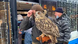 Owl Yoll ride on the tram and walk in the park. We have a black submarine in our neighborhood!