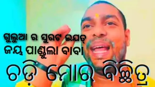 New Mr gulua Comedy//ସୁରଟ ମାଲ୍//Gulua Ra Nalua Niti//Pandula Baba //Kalia sandha//2022