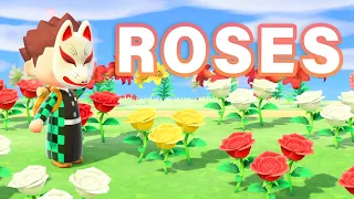 How to BREED Every ROSE Hybrid | Guide ► Animal Crossing: New Horizons