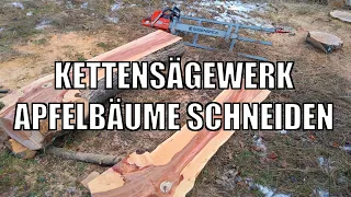 Obstbäume fällen & mit Kettensägewerk zu Bohlen schneiden [001]