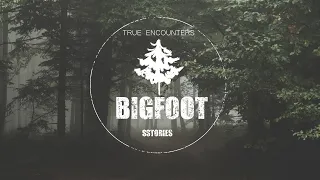 BIGFOOT Night Assault Trapped In A Fire Watch Tower | SASQUATCH ENCOUNTERS