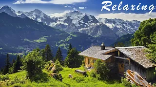 Soothing Stress Relief Music With Beautiful Nature 🍀 Stop Anxiety, Depression & Bad Vibes #21