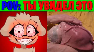 Радостные лица Беллы (POV: Ты увидел это)