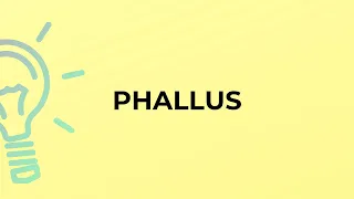 What is the meaning of the word PHALLUS?