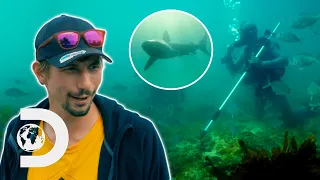 Parker Goes Diving With Sharks To Search For A Hidden Underwater Mine | Gold Rush: Parker Trail