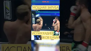 Ошибка судей?! Бой Ислам Кадиев vs Яков Букин. Скандал на нашем деле #shorts #popmma #mma