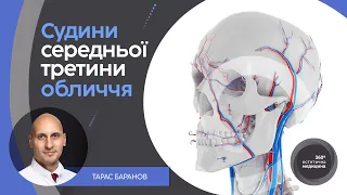 Анатомія 360 °. Судини середньої третини обличчя