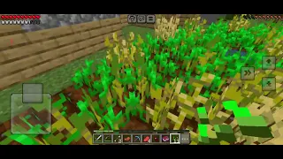 finally I my diamond armor in Minecraft | survival series | phone password reveal