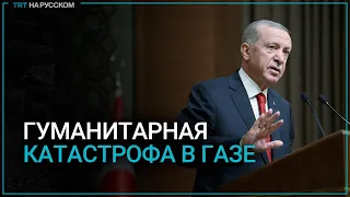 Эрдоган: «Мир должен увидеть гуманитарную катастрофу в Газе».