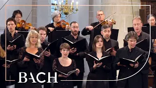 Bach - Motet Ich lasse dich nicht BWV anh. 159 - MacLeod | Netherlands Bach Society