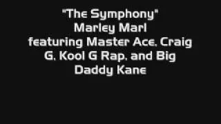 The Symphony - Marley Marl featuring Master Ace and Craig G.wmv