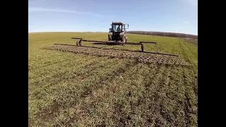 боронование озимой пшеницы 2021