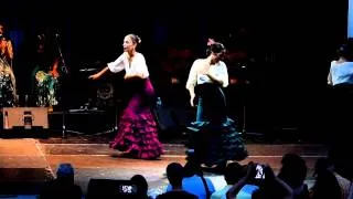 Spanish Flamenco Dance #1 -2014