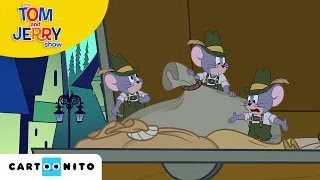 TOM VE JERRY | Korsan | Cartoonito Türkiye