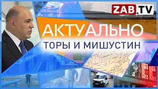 Актуально 17 августа ТОРЫ И МИШУСТИН