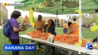 6abc Action News Feature WCU’s 28th Banana Day