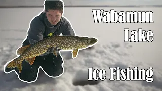 Ice Fishing for Burbot and Pike at Wabamun Lake, Alberta