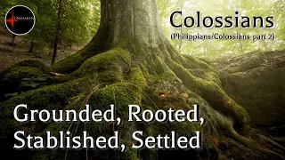 Come Follow Me - Colossians (Philippians / Colossians pt. 2): Grounded, Rooted, Stablished, Settled