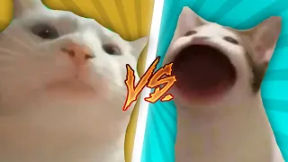 Pop Cat VS Vibing Cat