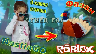 Cемья птиц роблокс фазан симулятор птицы обзор птички feather family roblox pheasant simulator bird