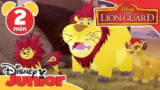 The Lion Guard | Looking Like Lions 🦁| Disney Junior UK