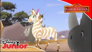 Cele mai bune momente din savană | Garda Felină | Disney Junior România