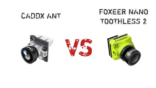 CADDX ANT VS FOXEER NANO TOOTHLESS 2 | FPV CAMERA COMPARISON