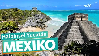 Yucatán – Mexikos Urlaubsparadies | ARD Reisen