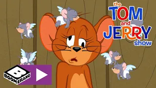 Tom i Jerry Show | Miłośni rywale | Cartoonito