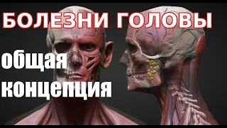 📚 Болезни головы (общая концепция)