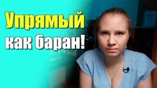 Как бороться с детским упрямством? Как воспитывать упрямого ребенка?