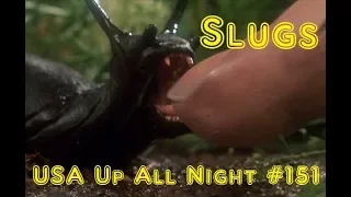 Up All Night Review #151: Slugs