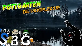 Nachtwanderung im mystischen Moor - POTTGARTEN #18