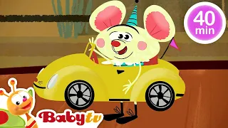 Hewan Sirkus 🐺 🐯​ | Episode Lengkap | Video untuk Anak-Anak | @BabyTVIndo
