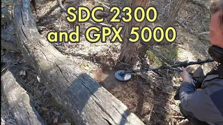 Minelab GPX 5000 & SDC 2300 - Gold Nuggets