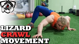Conor McGregor Movement Coach Inspired "Lizard Crawl"